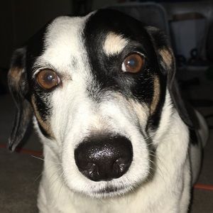 Meet your Posher, Hagan